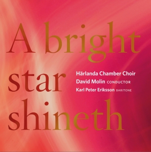 Härlanda Chamber Choir David Molin - A Bright Star Shineth in the group Externt_Lager / at Bengans Skivbutik AB (2263673)