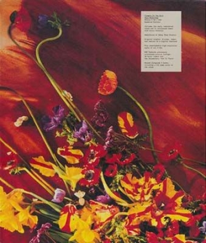 Paul McCartney - Flowers In The Dirt (Ltd 3Cd+Dvd) in the group CD / Pop at Bengans Skivbutik AB (2281679)