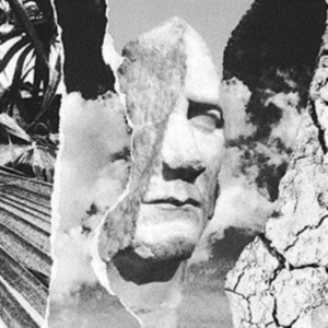 Great Ytene - Locus in the group CD / Pop-Rock at Bengans Skivbutik AB (2300809)