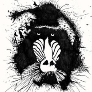 Feral Ohms - Feral Ohms in the group CD / Pop-Rock at Bengans Skivbutik AB (2366323)