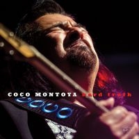 Montoya Coco - Hard Truth in the group CD / Blues,Jazz,Pop-Rock at Bengans Skivbutik AB (2377204)