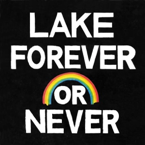 Lake - Forever Or Never in the group CD / Pop at Bengans Skivbutik AB (2377271)