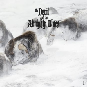 Devil And The Almighty Blues - Ii in the group CD / Rock at Bengans Skivbutik AB (2377274)