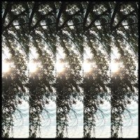 Pontiak - Dialectic Of Ignorance in the group VINYL / Pop-Rock at Bengans Skivbutik AB (2391945)