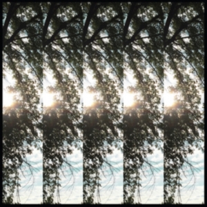 Pontiak - Dialectic Of Ignorance in the group CD / Pop-Rock at Bengans Skivbutik AB (2391946)