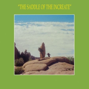 Sun Araw - Saddle Of The Increate in the group CD / Pop-Rock at Bengans Skivbutik AB (2392778)