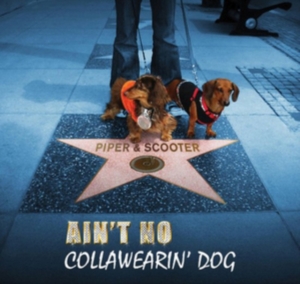 Piper & Scooter - Ain't No Collawearin' Dog in the group OTHER / Övrigt /  at Bengans Skivbutik AB (2396880)
