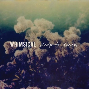 Whimsical - Sleep To Dream in the group VINYL / Rock at Bengans Skivbutik AB (2400141)