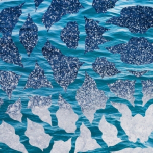 El Nino & The Southern Oscillations - El Nino & The Southern Oscillations in the group VINYL / Pop-Rock at Bengans Skivbutik AB (2400151)