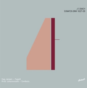 Jensen Dag & Johannessen Knut - J S Bach Sonaten Bwv 1027-29 in the group CD / Pop at Bengans Skivbutik AB (2404041)