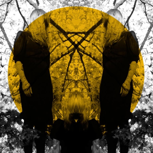 Austra - Feel It Break in the group VINYL / Bestsellers at Bengans Skivbutik AB (2405658)