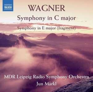 Mdr Leipzig Radio Symphony Orchestr - Symphony In C Major in the group Externt_Lager /  at Bengans Skivbutik AB (2405726)