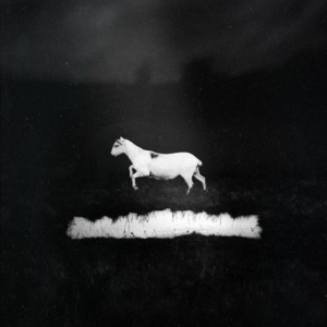 Les Discrets - Predateurs (2 Cd/Dvd Rom Hardcover in the group OTHER / Övrigt /  at Bengans Skivbutik AB (2409431)