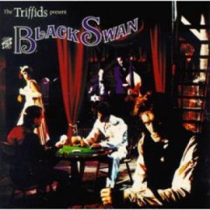 Triffids - Black Swan in the group CD / Rock at Bengans Skivbutik AB (2414252)