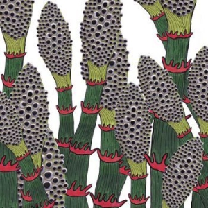 Part Chimp - Lv in the group CD / Pop-Rock at Bengans Skivbutik AB (2417937)