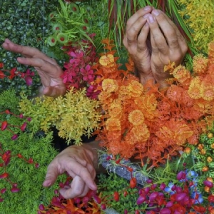 Blood Wine Or Honey - Anxious Party People in the group VINYL / Rock at Bengans Skivbutik AB (2422561)