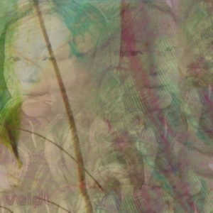 Veldt - Symmetry in the group OUR PICKS / Record Store Day / RSD2013-2020 at Bengans Skivbutik AB (2429540)