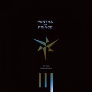 Pantha Du Prince - The Triad (Ambient Versions) in the group VINYL / Rock at Bengans Skivbutik AB (2430101)