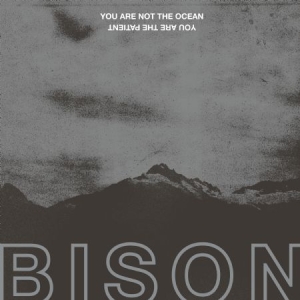 Bison - You Are Not The Ocean You Are The P in the group VINYL / Pop-Rock at Bengans Skivbutik AB (2437222)