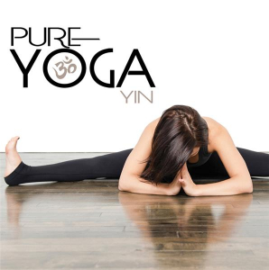 Blandade Artister - Pure Yoga Yin in the group CD / Pop at Bengans Skivbutik AB (2443643)