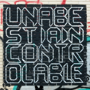 Una Bestia Incontrolable - Mnetamorfosi in the group VINYL / Pop-Rock at Bengans Skivbutik AB (2461901)