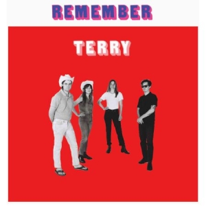 Terry - Remember Terry in the group VINYL / Rock at Bengans Skivbutik AB (2478695)