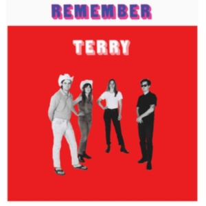 Terry - Remember Terry in the group VINYL / Pop-Rock at Bengans Skivbutik AB (2478695)