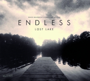 Endless - Lost Lake in the group CD / Jazz/Blues at Bengans Skivbutik AB (2478753)