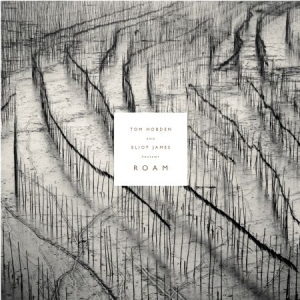 Hobden Tom And Eliot James - Present: Roam in the group VINYL / Pop-Rock at Bengans Skivbutik AB (2478821)