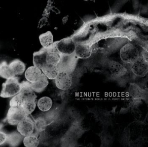Tindersticks - Minute Bodies: The Intimate World of F. Percy Smith in the group MUSIK / LP+DVD / Kommande / Rock at Bengans Skivbutik AB (2486990)