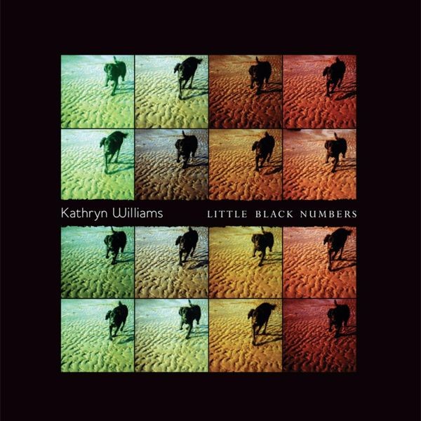 Kathryn Williams - Little Black Numbers in the group VINYL / Worldmusic/ Folkmusik at Bengans Skivbutik AB (2510790)