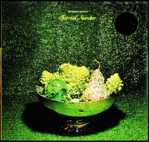 Swarming Branch - Surreal Number in the group VINYL / Elektroniskt,World Music at Bengans Skivbutik AB (2519921)