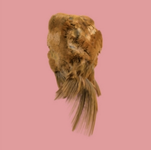 HOLY FAMILY - VALUES in the group CD / Pop-Rock at Bengans Skivbutik AB (2520056)