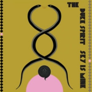 Duke Spirit - Sky Is Mine in the group VINYL / Pop-Rock at Bengans Skivbutik AB (2520061)