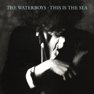 Waterboys - This Is The Sea in the group CD / Upcoming releases / Pop at Bengans Skivbutik AB (2527346)