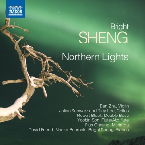 Sheng Bright - Northern Lights in the group Externt_Lager /  at Bengans Skivbutik AB (2527409)