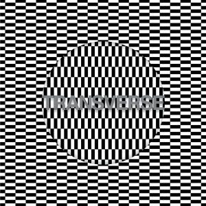 Carter Tutti Void - Transverse in the group CD / Pop-Rock at Bengans Skivbutik AB (2528534)