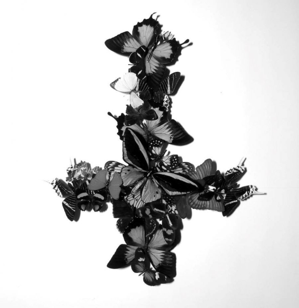 Monarch - Never Forever in the group VINYL / Hårdrock at Bengans Skivbutik AB (2537196)