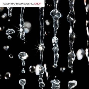 Harrison Gavin & 05Ric - Drop in the group CD / Rock at Bengans Skivbutik AB (2538482)