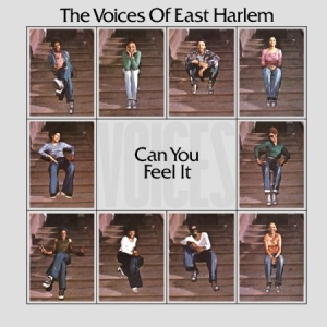 Voices Of East Harlem - Can You Feel It in the group VINYL / RNB, Disco & Soul at Bengans Skivbutik AB (2538552)