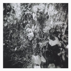 Mislock Tim - Now Is The Last Best Time in the group CD / Pop-Rock at Bengans Skivbutik AB (2538932)