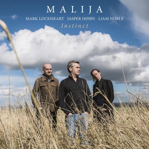 Malija - Instinct in the group CD / Jazz at Bengans Skivbutik AB (2538996)