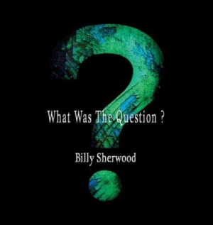 Sherwood Billy - What Was The Question? in the group CD / Pop-Rock at Bengans Skivbutik AB (2542464)