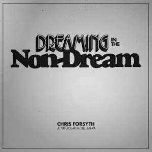 Chris Forsyth & The Solar Motel Ban - Dreaming In The Non-Dream in the group VINYL / Pop-Rock at Bengans Skivbutik AB (2543295)