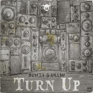 Garlin Bunji - Turn Up in the group CD / Reggae at Bengans Skivbutik AB (2545381)
