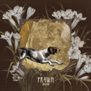 Prawn - Run in the group CD / Pop-Rock at Bengans Skivbutik AB (2545443)