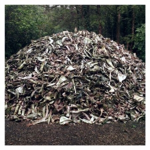 Briqueville - Ii in the group CD / Pop-Rock at Bengans Skivbutik AB (2546868)