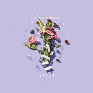 Slingshot Dakota - Break in the group CD / Rock at Bengans Skivbutik AB (2548905)