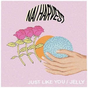 Nai Harvest - Just Like You - in the group VINYL / Pop-Rock at Bengans Skivbutik AB (2549017)