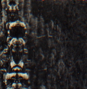 O Morto - Forest, The People And The Spirit in the group VINYL / Rock at Bengans Skivbutik AB (2551730)